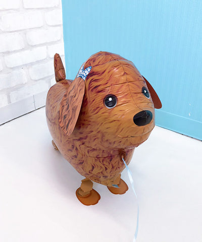 Osanpo Toy Poodle【税込】